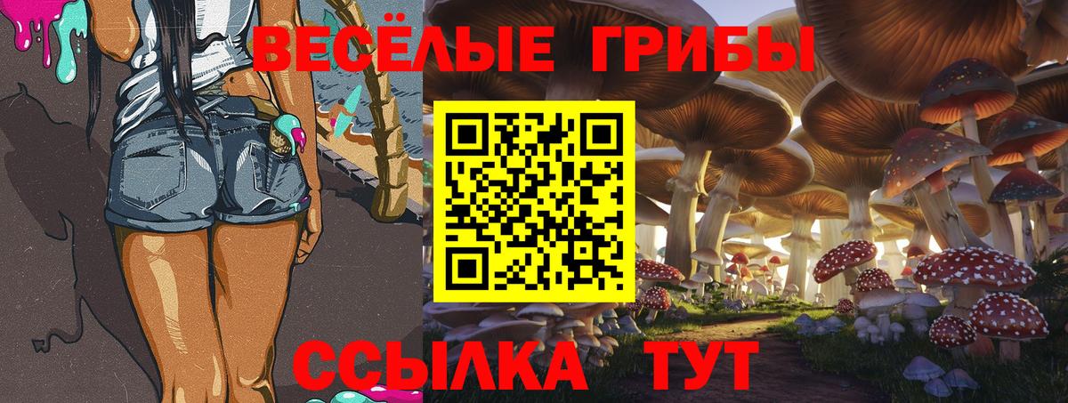 Галлюциногенные грибы Psilocybine cubensis  Вход с VPN  Псилоцибиновые грибы Cubensis  Сорочинск 